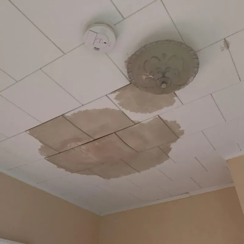 Ceiling Water Damage Repair in Derry, PA