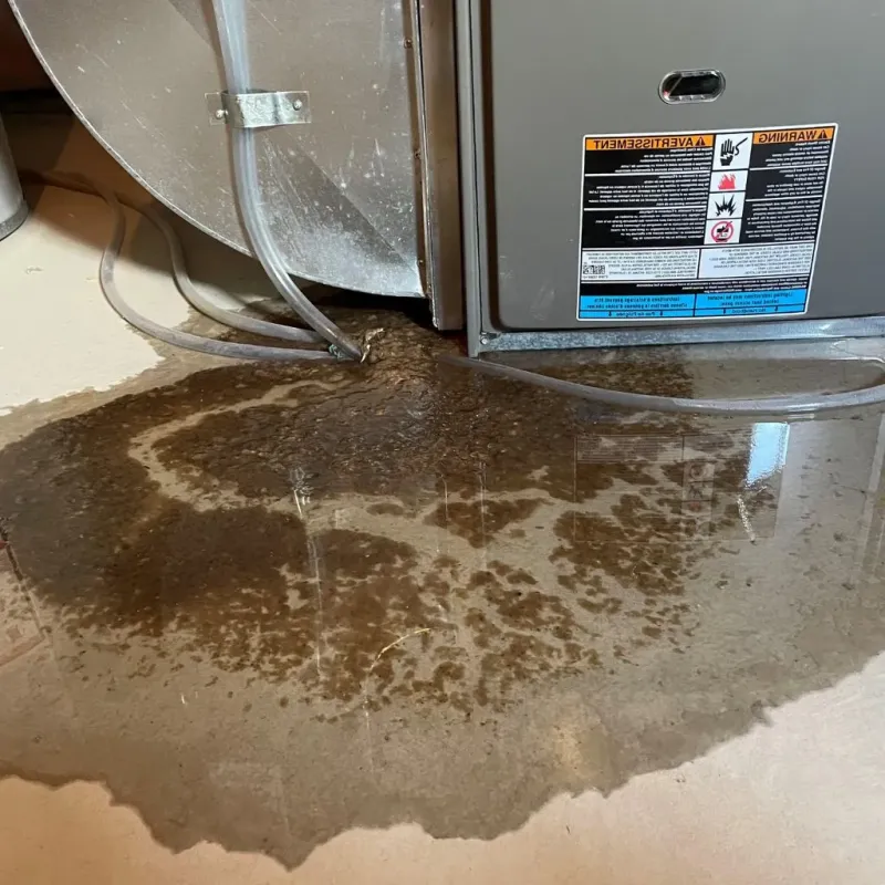 Pipe Burst and Leak Restoration in Derry, PA