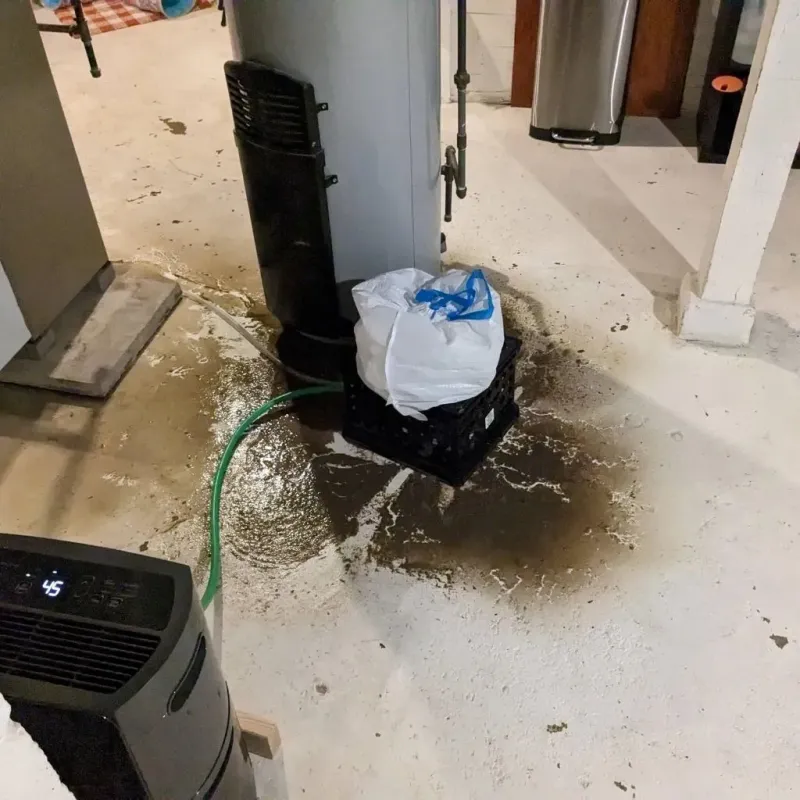 Sewage Backup Cleanup Service in Derry, PA